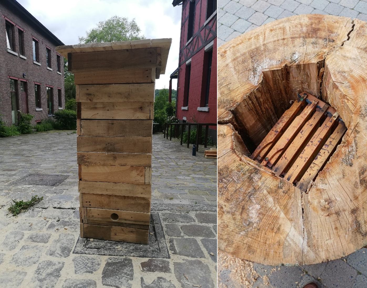 ruches-abeilles-noirs