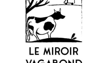 434584343_440683265166255_6686801532562836827_n